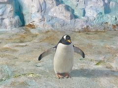 -珠海长隆海洋王国