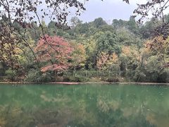 -花溪公园