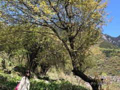 -孟屯河谷景区