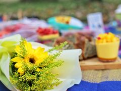 -云漫湖生态度假公园