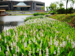 -上海海洋大学(临港校区)