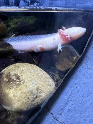 -Zoolung Zoolung动物主题公园(海信广场店)