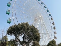 -常州淹城野生动物世界