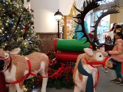 -成功时代广场主题乐园