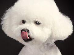 -橡皮照相馆