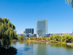 -大兴滨河森林公园