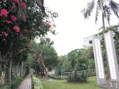 -大埔公路-马料水段香港中文大学(公交站)