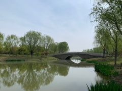 -东郊湿地公园