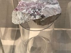 景点-甘肃地质博物馆