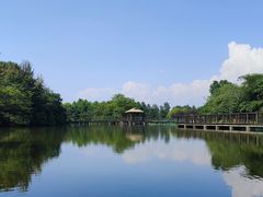 -苏州太湖国家湿地公园