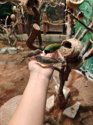 -Zoolung Zoolung动物主题公园(海信广场店)