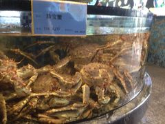 -寻味顺德·珍之宝酒楼(银钻店)
