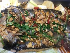 -黑猫馋纸包鱼(阳光店)