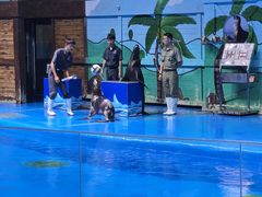 -石家庄市动物园