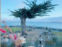 -香港东海海鲜酒家