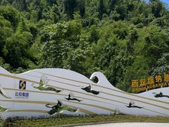 -西双版纳原始森林公园