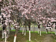 -西安汉城湖景区