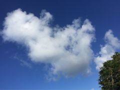 iphone_upload_pic-美国纪念公园