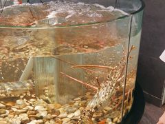 -九號渔港·蒸汽海鲜·粤菜茶点(八卦岭店)