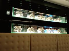 -哈尔滨索菲特大酒店-意日本料理铁板烧