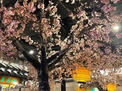 -绿茶餐厅(朝阳大悦城店)