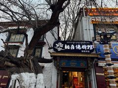 -古树酸奶(八廓南街店)