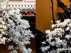 -龙华寺