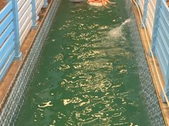 -南宫温泉水世界
