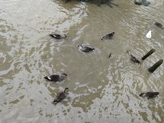 -海珠湖公园