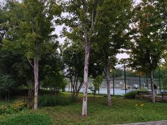 -回龙观体育文化公园