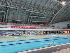 -二十一世纪饭店-游泳馆