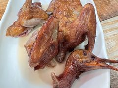 -东鸽皇(奥园·中环广场店)