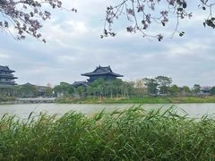 -海珠湖公园