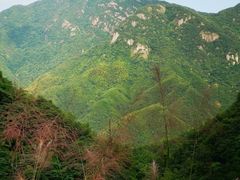 -井空里大峡谷