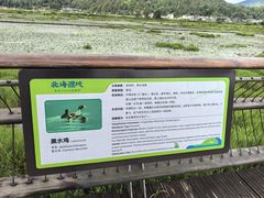 -腾冲北海湿地