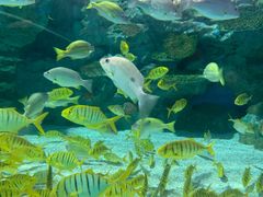 -海合安成都极地海洋公园