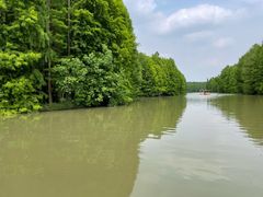 -上海海湾国家森林公园