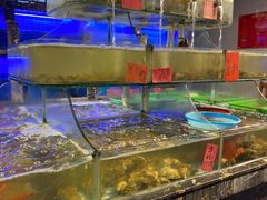 海鲜池-友强·23年特色海鲜大排档(厦门店)