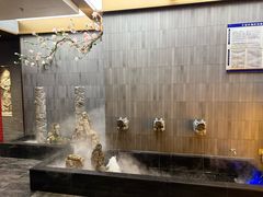 -羲和雅苑•北京烤鸭(平安国际金融中心店)