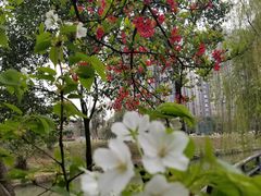 -沙河三洞古桥公园