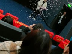 -幸福蓝海国际影城(河西店)