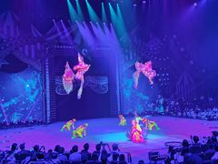 -珠海横琴长隆《卡卡虎奇遇记》