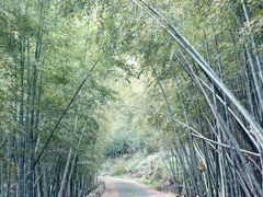 -浙江万里学院(钱湖校区)