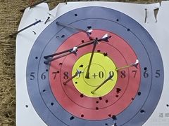 -道顺射箭·团建·骑射(张杨路店)