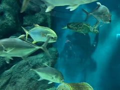 -福州罗源湾海洋世界旅游区