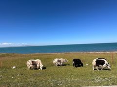 -青海湖国家重点风景名胜区