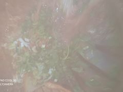 -山妹子铁锅炖