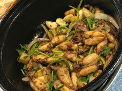 啫啫鱿鱼筒-石岐乳鸽村(南海第三分店)