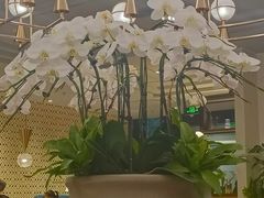 -鹿港小镇(霄云店)