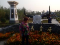 -武清南湖绿博园